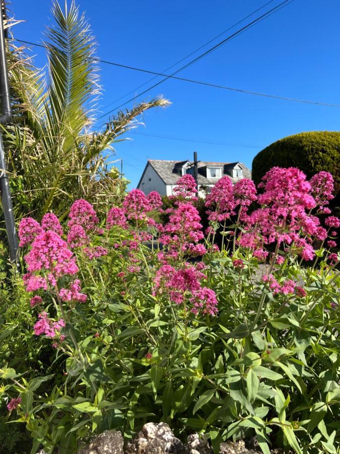 The Cottage St Kew Port Isaac Exterior foto